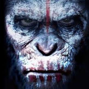 Meet your Posher, Devincent